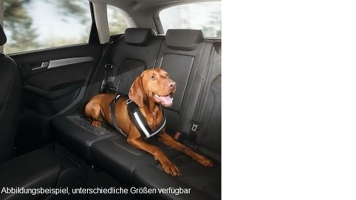 Audi Hundeschutzgurt Medium