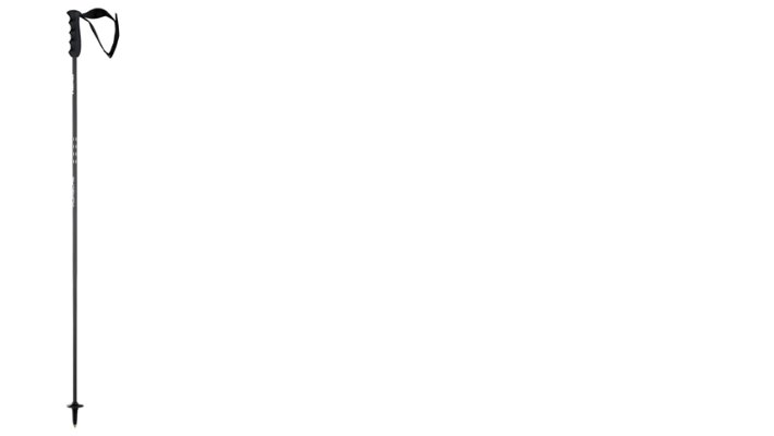 Porsche HEAD Carbon Skistöcke 115cm in Schwarz/Weiß